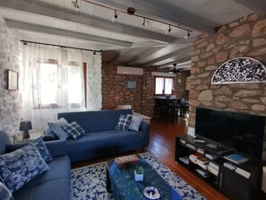 TV, fireplace, books