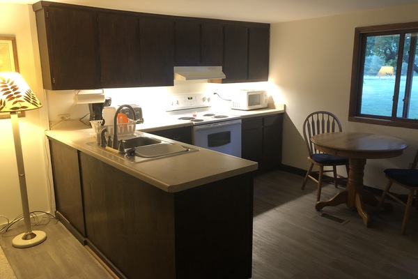 Frigorífico, microondas, horno y placa de cocina