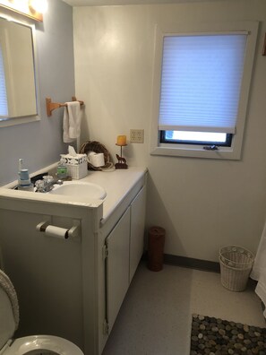 Combined shower/bathtub, towels, soap, shampoo