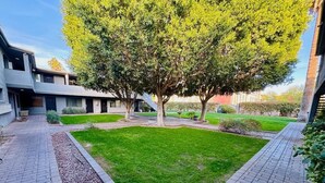 A courtyard with a paved walkway, a grassy area, and a tree. - Mo`s Mid-Town 2Bdrm Marvel 103 (Phoenix)