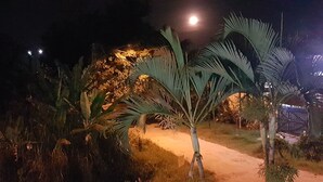 A nighttime outdoor scene with palm trees, a path, and a fence. - Beach house: 5 bedrooms, swimming pool, barbecue, billiards. Excellent location. (Bertioga)