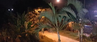 Beach house: 5 bedrooms, swimming pool, barbecue, billiards. Excellent location.