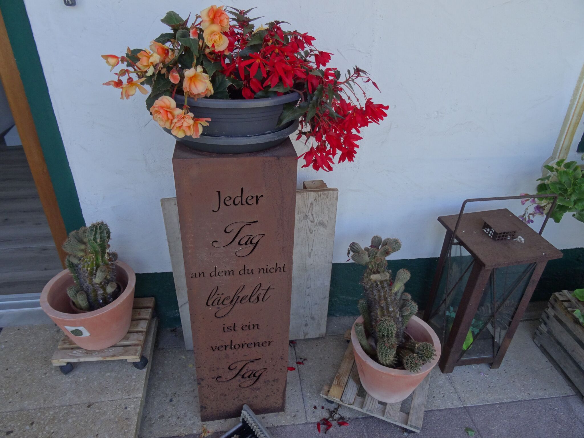 Een bloeiende plant in een pot met een houten plaquette met tekst.