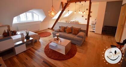 TOP * attic old building parquet !! NETFLIX & RELAX, 2 beds