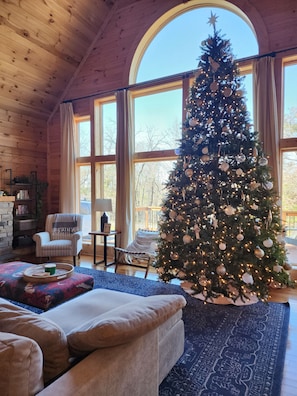 TV, fireplace, DVD player, video library