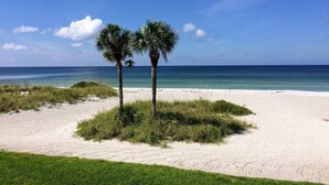 A sandy beach with two palm trees and a clear blue sky. - Luxury 3BD Beachfront Living: La Playa 203D by RVA (Longboat Key)