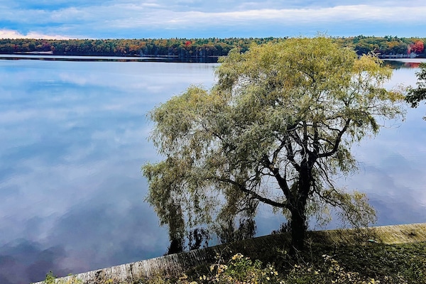 Gorgeous fall colors on the far side of the lake!