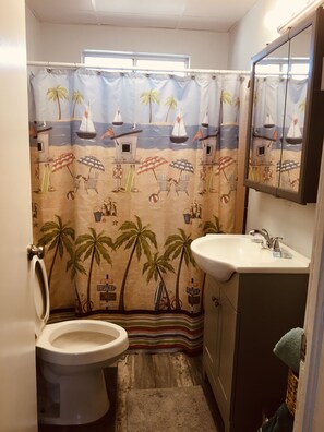 Ensemble douche/baignoire, serviettes fournies, savon, shampoing