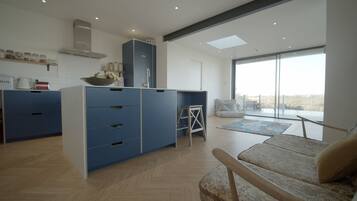 Smart TV, fireplace, books, computer monitors