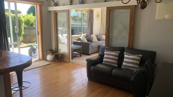 Télévision, cheminée, lecteur de DVD, livres