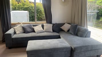 TV, fireplace, DVD player, books