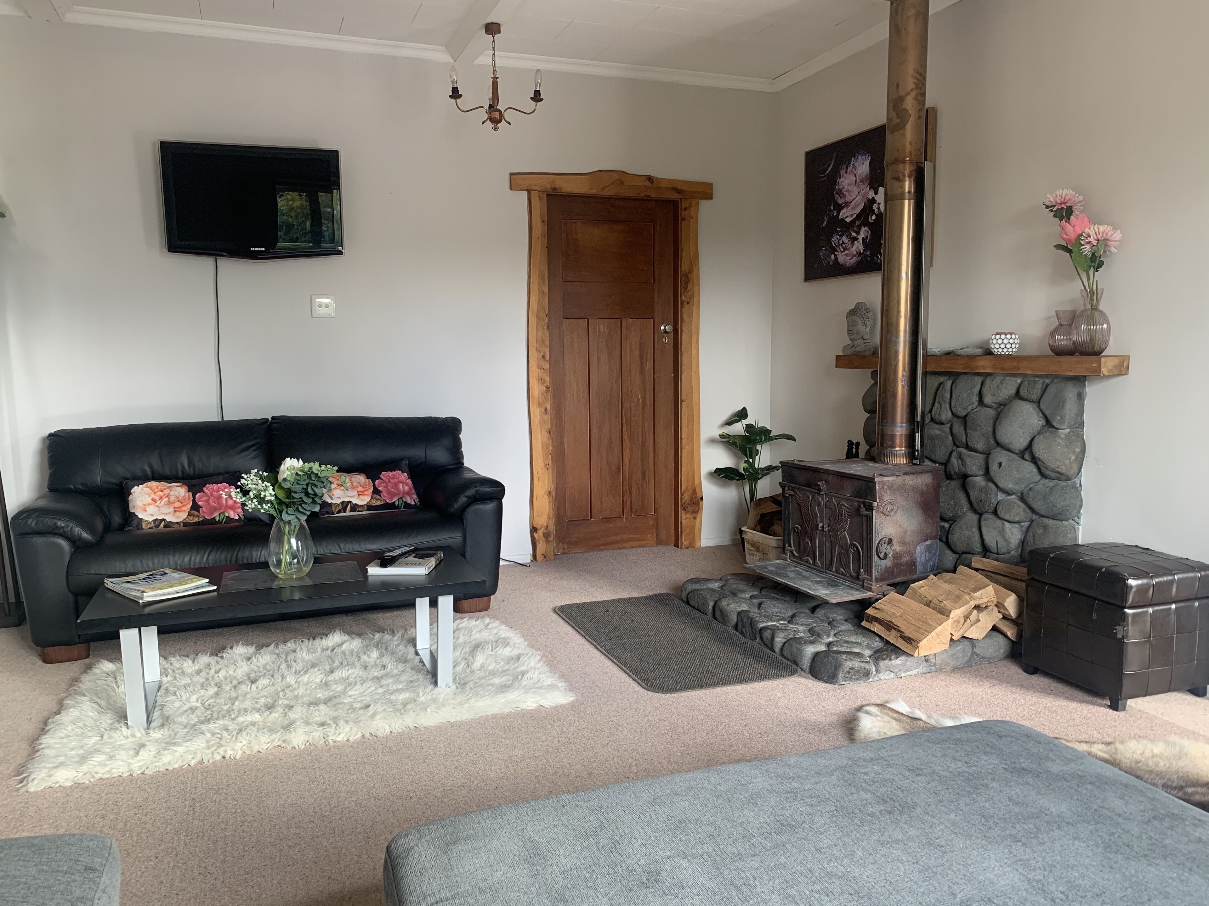 Télévision, cheminée, lecteur de DVD, livres