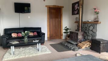 Télévision, cheminée, lecteur de DVD, livres