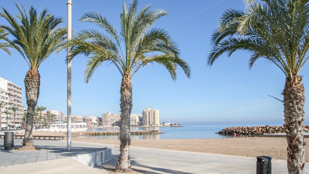 En kystpromenade med palmer, en sandstrand og havudsigt samt bygninger i baggrunden.