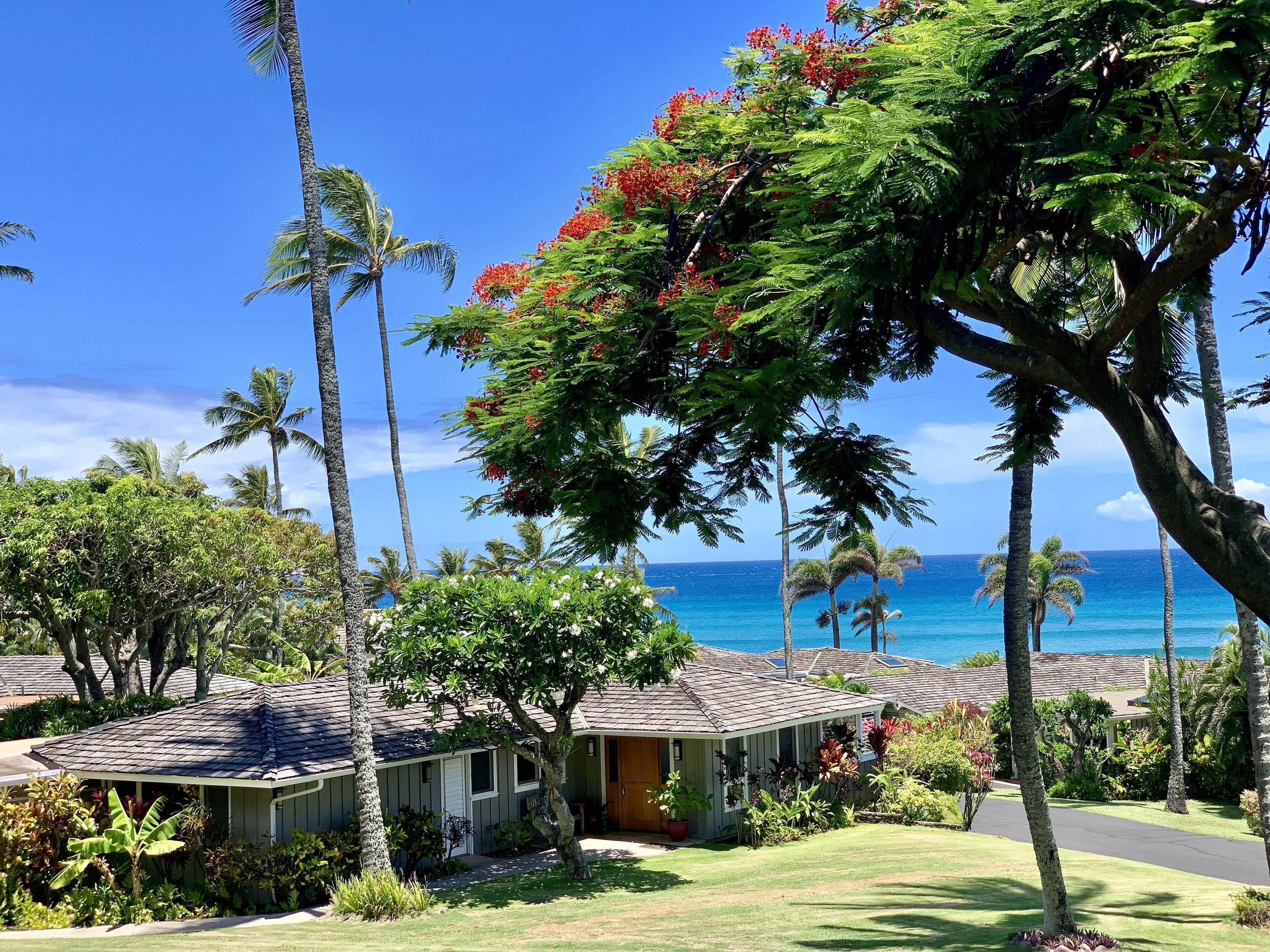Paradise at Alaeloa - Swim with the Turtles!