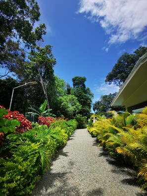 Terrain de l’hébergement 