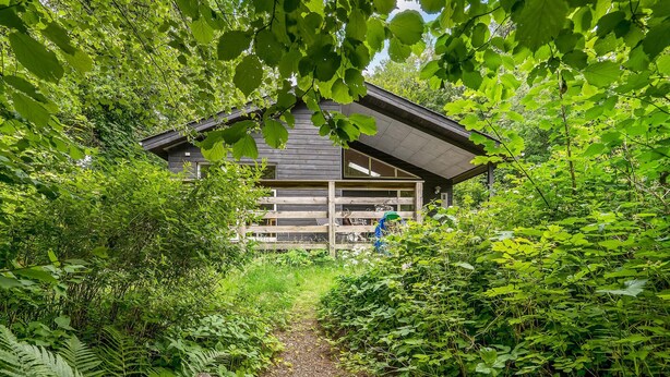 A rustic cabin surrounded by dense greenery, accessible via a narrow path. - Pet friendly home in Gistrup with WiFi (Gistrup)