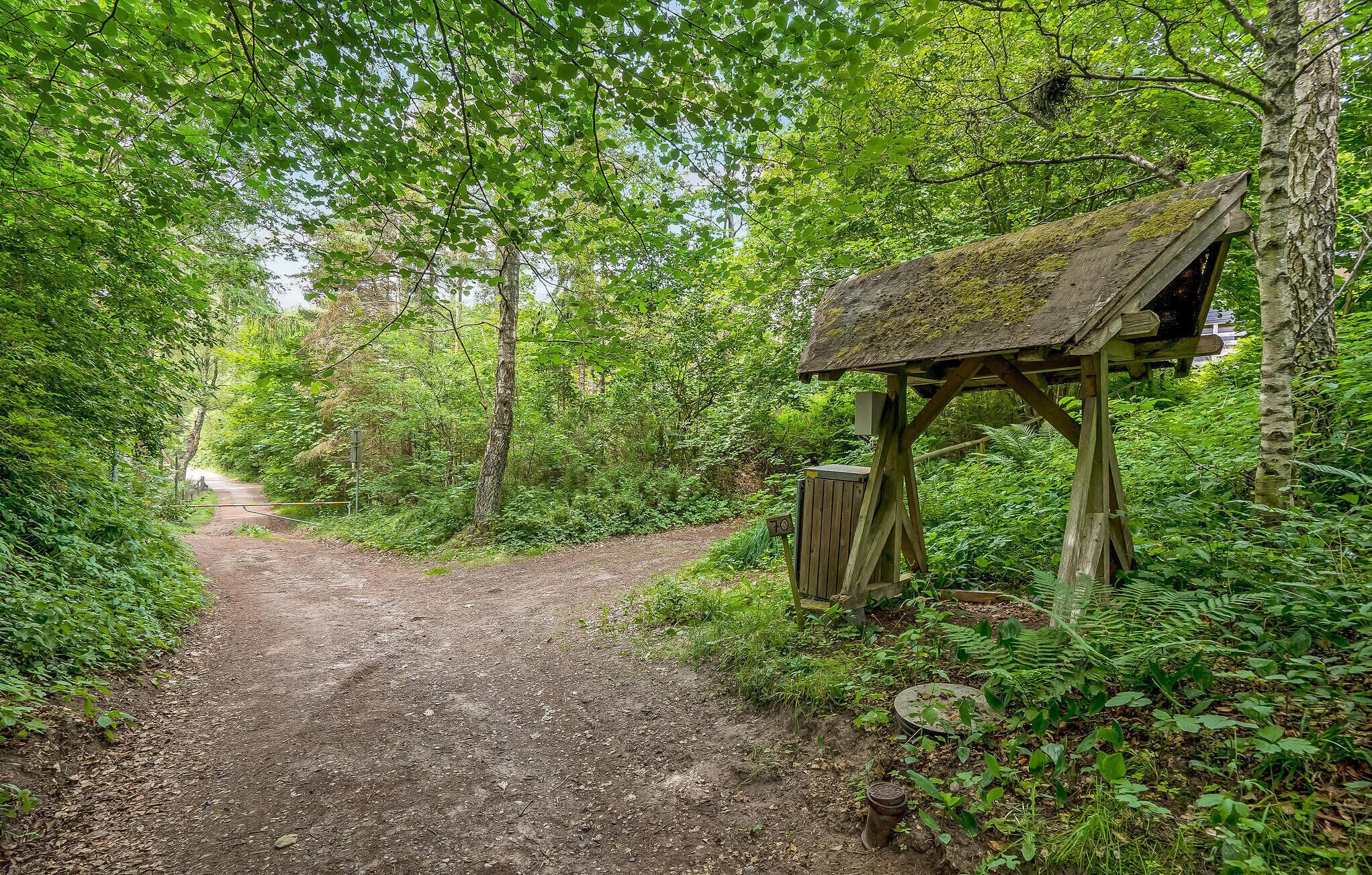 Ein rustikales Holzgebäude mit einem moosbewachsenen Dach, neben einem Feldweg in einem üppigen Grünwald gelegen.