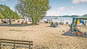 Una spiaggia con persone, un albero grande e una panchina.