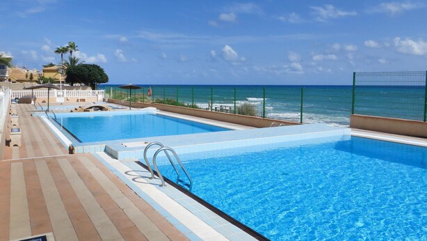 Une piscine avec vue sur l’océan, entourée d’une clôture blanche et de palmiers.