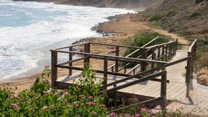 Une promenade en bois menant à une plage, avec des fleurs roses au premier plan.