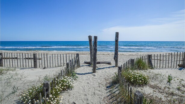 Ein Sandstrand mit Holzpfählen und einer Umzäunung, der zum Meer führt.