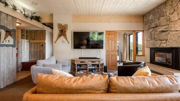 Smart TV, fireplace, DVD player, books