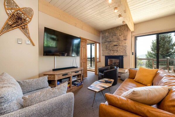 Smart TV, fireplace, books