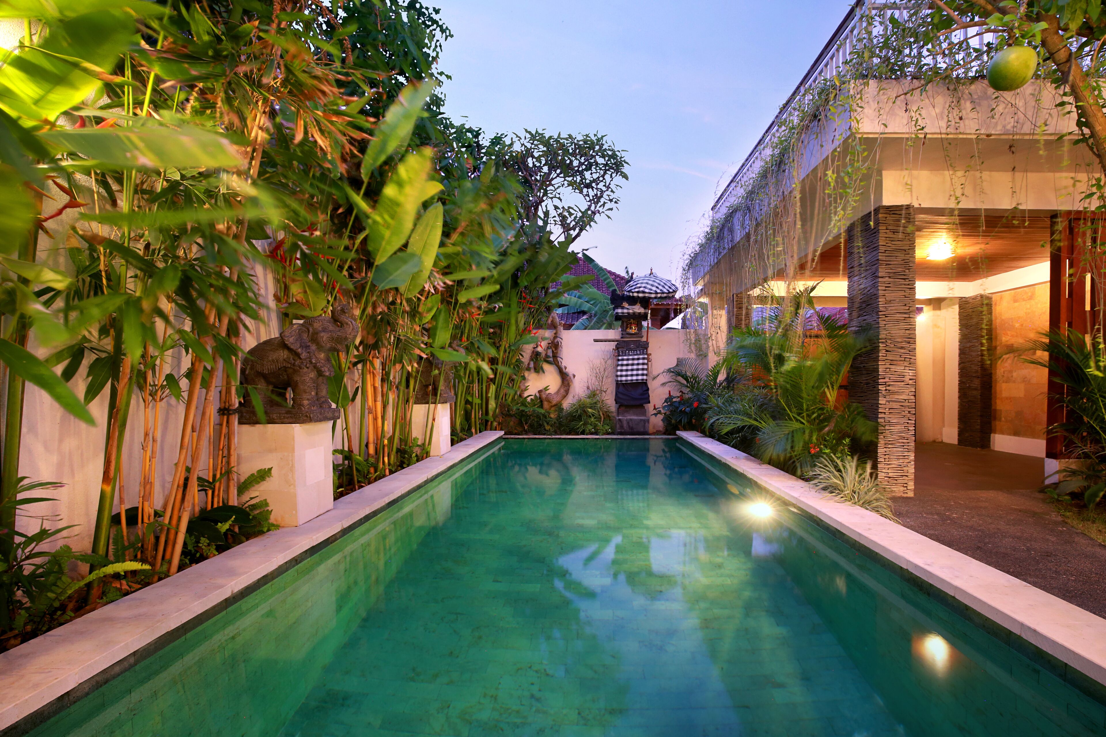 Una piscina al aire libre, sombrillas, sillones reclinables de piscina