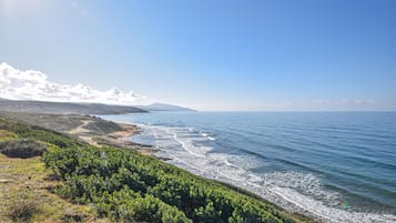 Perto da praia, prática de pesca