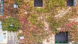 Exterior detail - Lovely home in Arenas del Rey with WiFi (Arenas del Rey)