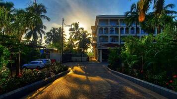A paved pathway leading to a building with a classic architectural style, surrounded by palm trees and greenery.
