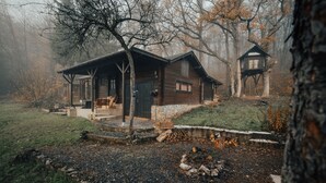 Un chalet rustique doté d’une véranda et d’une cabane dans les arbres séparée, le tout entouré d’arbres et bordé d’un chemin de gravier.