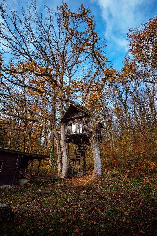 Una estructura tipo casa del árbol construida en un gran árbol, rodeada de follaje otoñal.