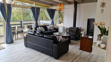 TV, fireplace, video games, DVD player