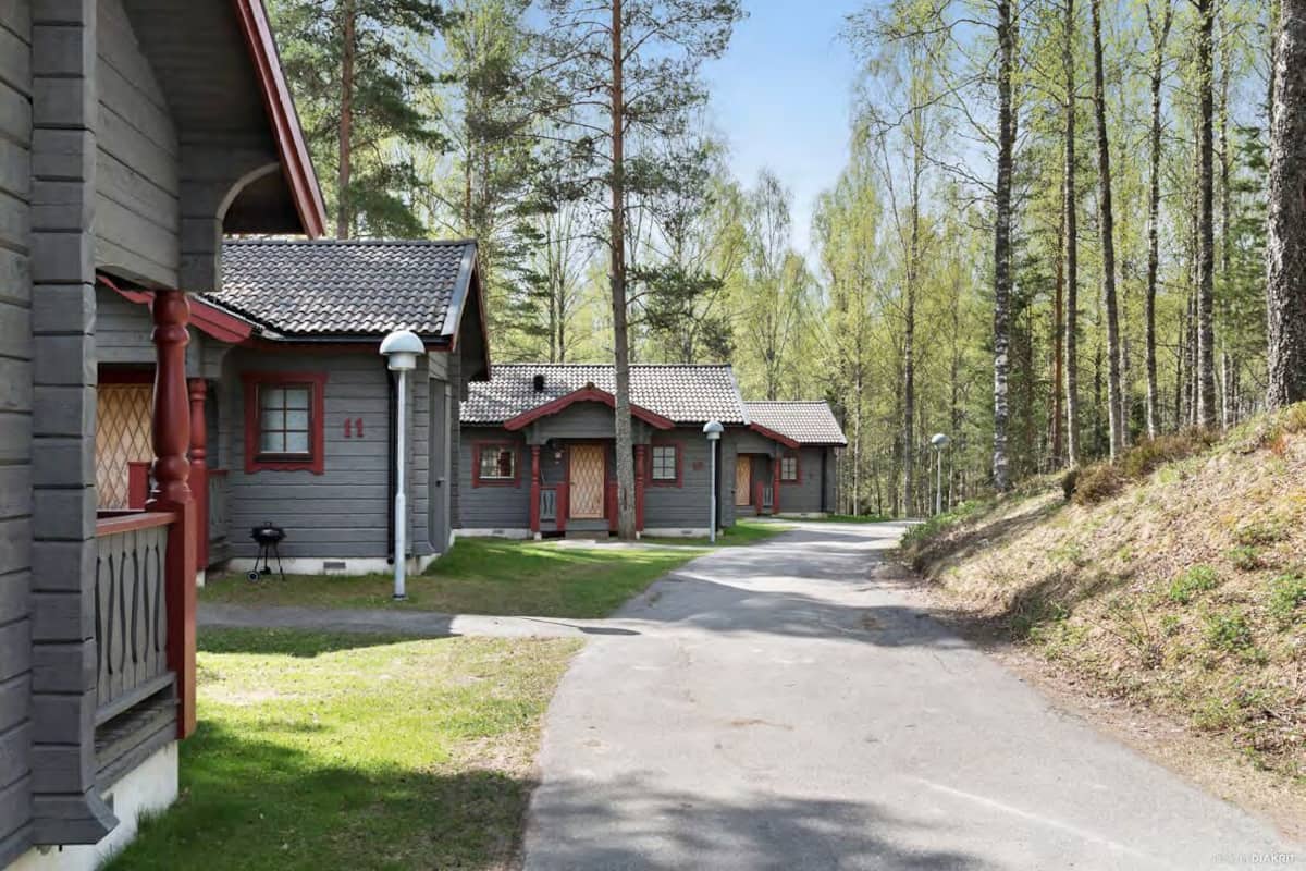 A row of log cabin-style buildings with a paved driveway leading to a wooden deck.
