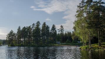 Ein ruhiger See, umgeben von dichtem Wald und einer kleinen Hütte.