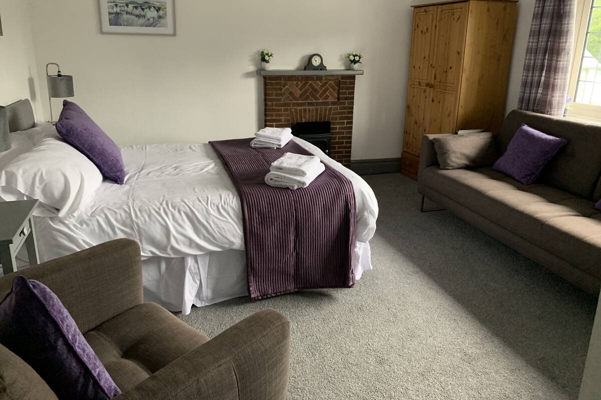 A bedroom with a bed, a sofa, a wooden wardrobe, a fireplace, and a painting on the wall.