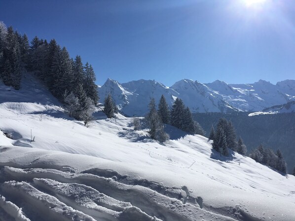 A snow-covered mountain landscape with clear skies and a bright sun.