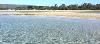 Perfect Family Getaway -  Walk to everything