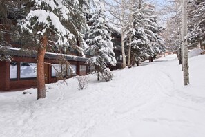 A snow-covered pathway flanked by trees and a building with large windows.