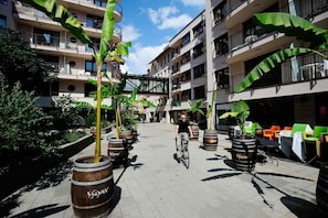 Terras
