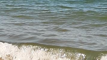 Beach nearby, sun-loungers