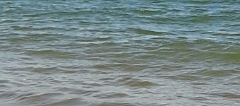 CHALET SAINT PIERRE D OLERON DANS RESIDENCE PRIVEE 4/6 PERSONNES AVEC PISCINE