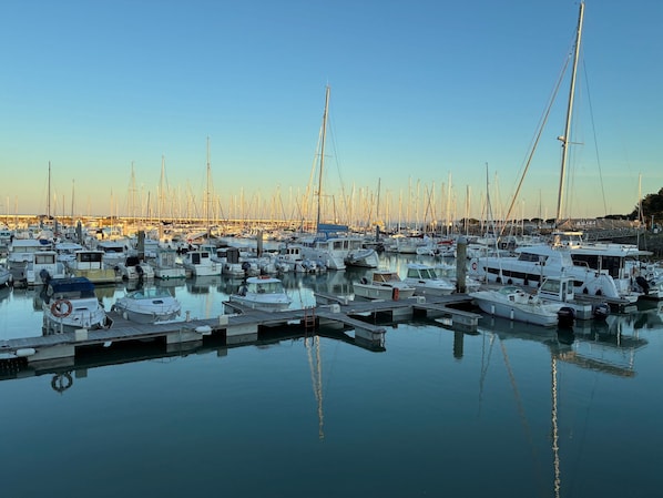 Marina