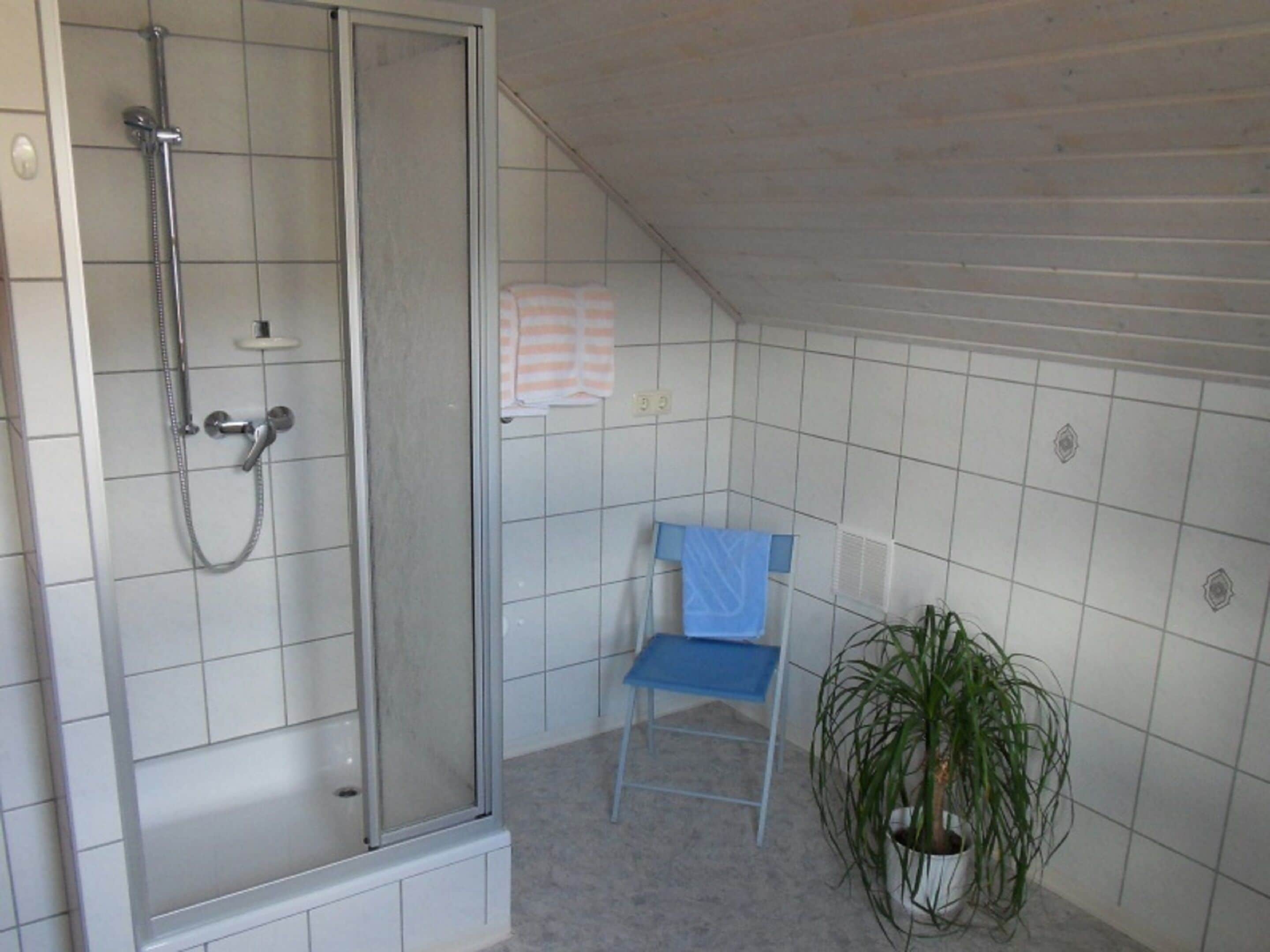 Apartment | Bathroom | Shower, hair dryer, towels, toilet paper