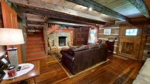 TV, fireplace, books