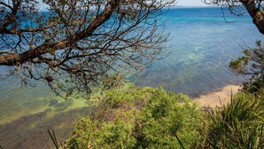 A coastal landscape with clear water, a sandy beach, and dense greenery.
