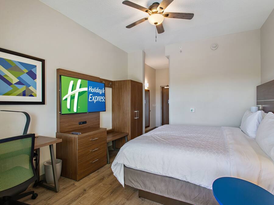 A hotel room with a bed, a desk, a chair, a television, and a ceiling fan.