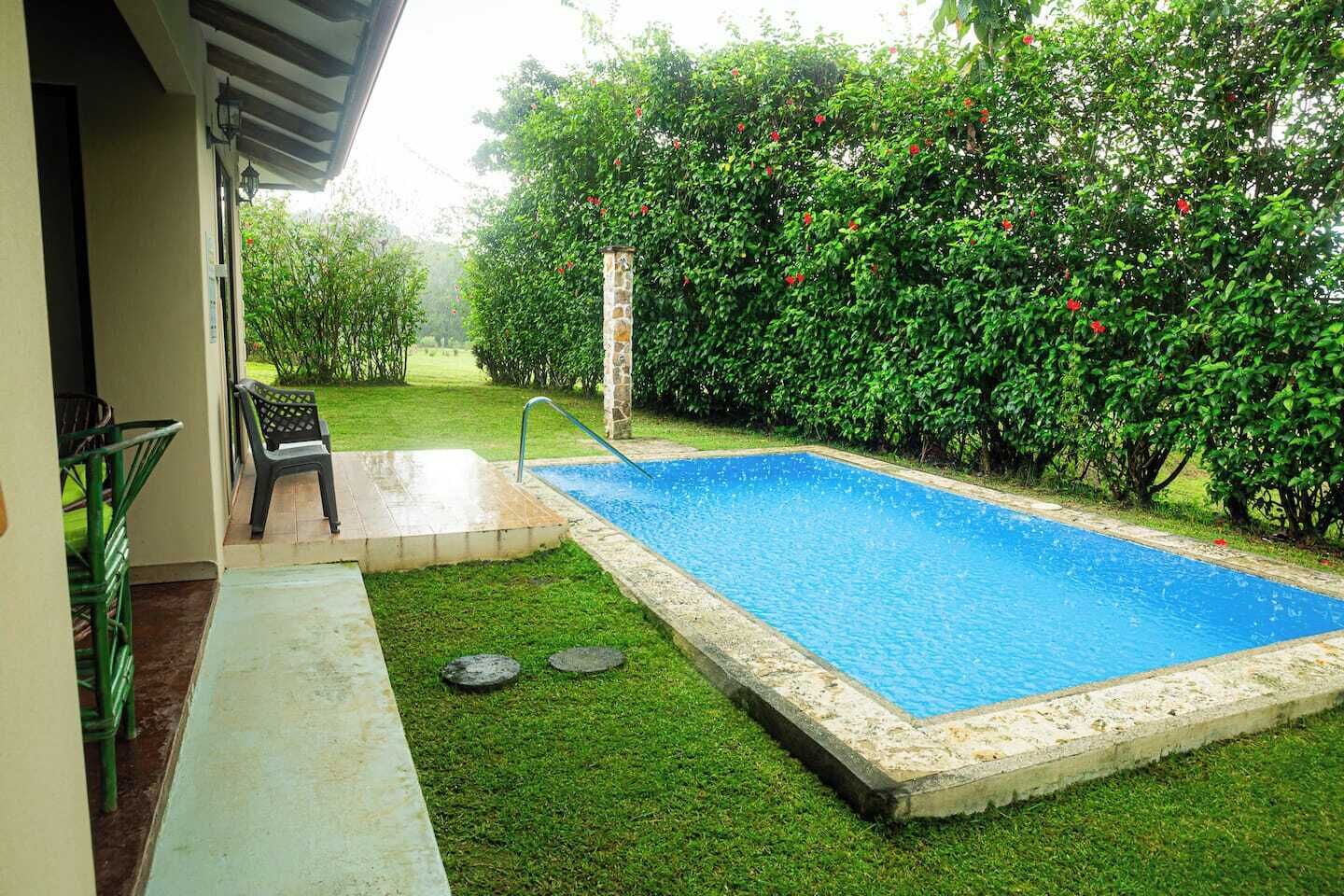 beautiful pool surrounded by lush greenery, creating the perfect spot for relaxation and unwinding.